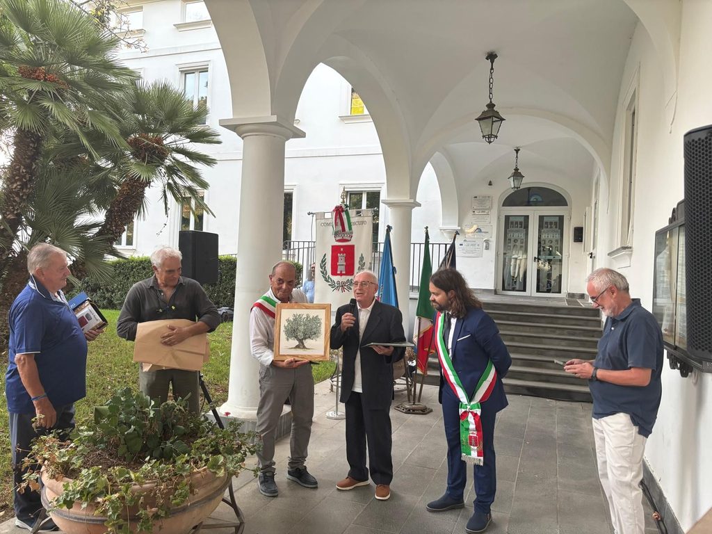 FERRI BUONA